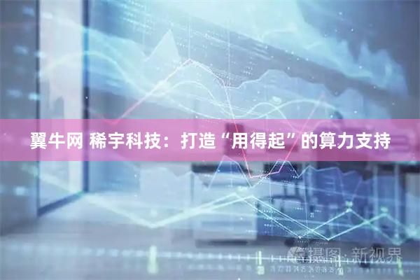 翼牛网 稀宇科技：打造“用得起”的算力支持
