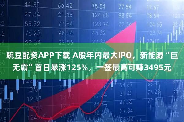 豌豆配资APP下载 A股年内最大IPO，新能源“巨无霸”首日暴涨125%，一签最高可赚3495元