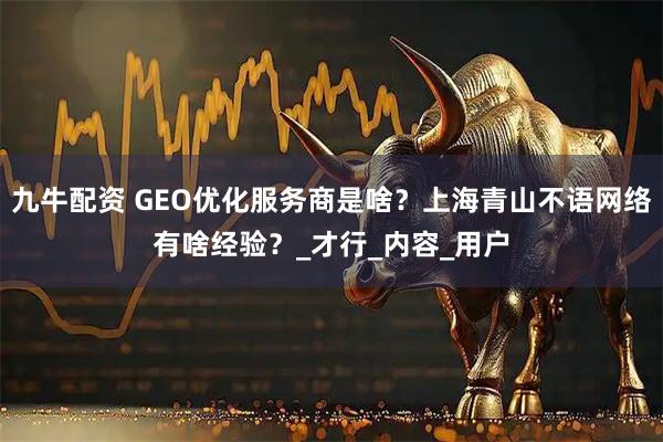 九牛配资 GEO优化服务商是啥？上海青山不语网络有啥经验？_才行_内容_用户